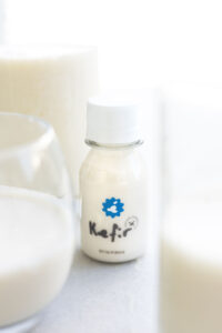 Kefir Probiotico